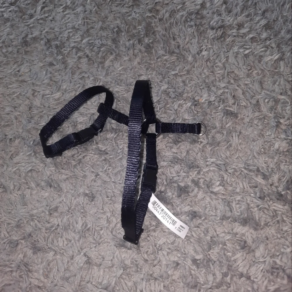 Pet harness